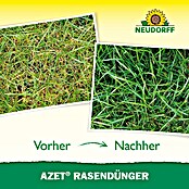 Neudorff Azet Rasendünger (10 kg, Inhalt ausreichend für ca.: 200 m²)