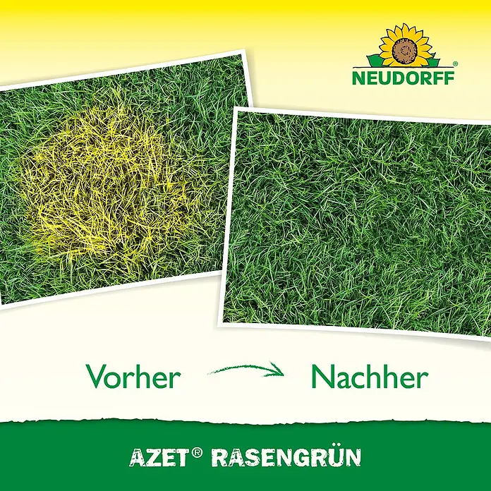 Neudorff Azet Rasendünger - 318 g, 250 ml, Max. Anwendungsfläche: 10 m² - Rasenpflegeprodukt AZET® RASENGRÜN. Vorher-Nachher: gelbes Gras wird gesund grün.