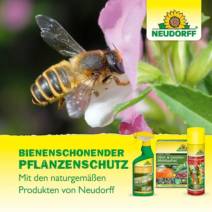 Neudorff Neudosan Blattlausfrei - 500 ml - Ein Bienenfreundliches Pflanzenschutzmittel von Neudorff mit natürlichen Produkten für den Garten und die Landwirtschaft.