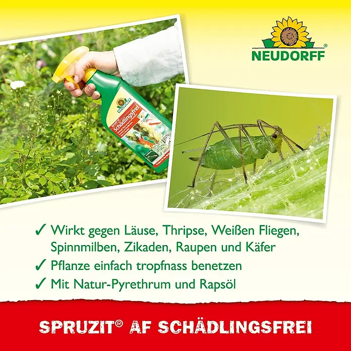 Neudorff Spruzit Schädlingsfrei - 250 ml, Anwendungsfertig - Spritzmittel gegen Schädlinge von Neudorff mit natürlichem Pyrethrum und Rapsöl, wirksam gegen Läuse und andere Insekten.