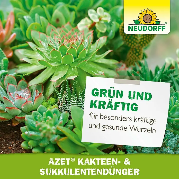 Neudorff Azet Kakteendünger - 250 ml - Neudorff Azet Kakteen- & Sukkulentendünger, fördert grüne, kräftige Pflanzen mit gesunden Wurzeln.