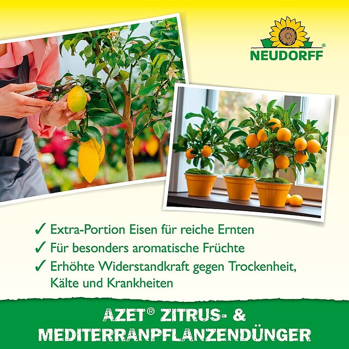 Neudorff Azet Mediterranpflanzen-Dünger (750 g)