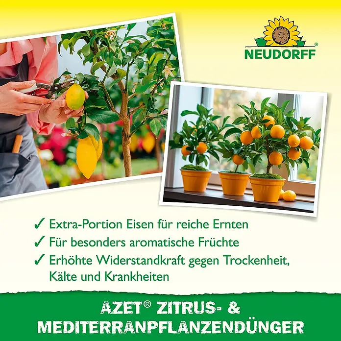 Neudorff Azet Mediterranpflanzen-Dünger - 750 g - Produktbild von Neudorff Azet Zitrus- und Mediterranpflanzendünger für reiche Ernten und aromatische Früchte.