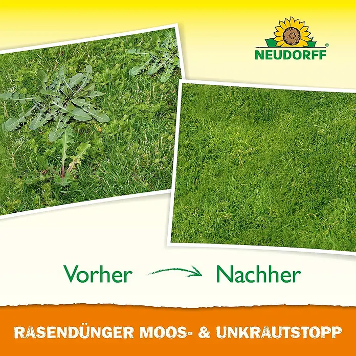Neudorff Rasendünger Moos- & Unkrautstopp - 1,3 g, 1 l, Max. Anwendungsfläche: 100 m² - Vorher-Nachher-Darstellung eines Gartens mit Neudorff Rasendünger Moos- & Unkrautstopp, der Moos und Unkraut effektiv bekämpft.