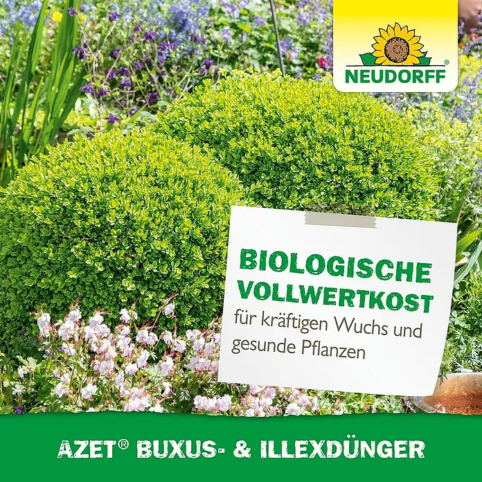 Neudorff Azet Buchsbaumdünger - 1 kg - Neudorff Azet Buxus- & Illexdünger: Biologische Vollwertkost für kräftigen Wuchs und gesunde Pflanzen.