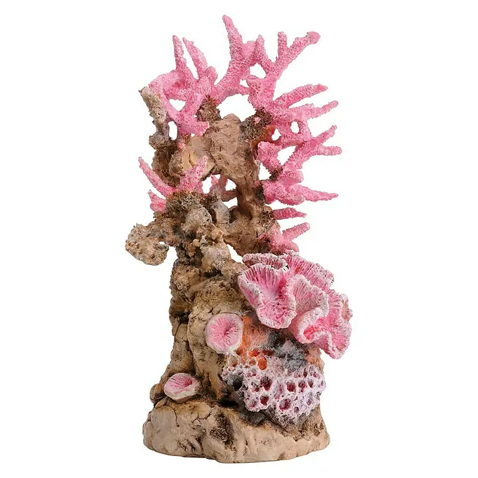 biOrb Deko-Set für Aquarien Pink Ocean - 12 -tlg., Violett/Weiß, Passend für: Aquarien ab 30 l - Dekorative Koralle für Aquarien. Die Koralle ist aus Kunststoff gefertigt und hat eine hellrosa Farbe, die das Aquarium verschönert.