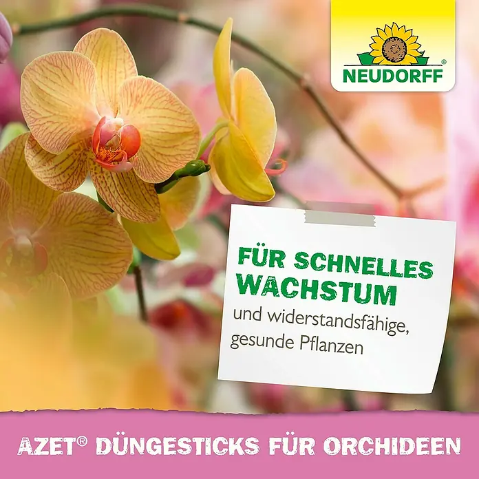 Neudorff Azet Düngestäbchen Orchideen - 40 Stk. - AZET® Düngesticks für Orchideen, für schnelles Wachstum und widerstandsfähige, gesunde Pflanzen mit dem Neudorff Logo im Hintergrund.