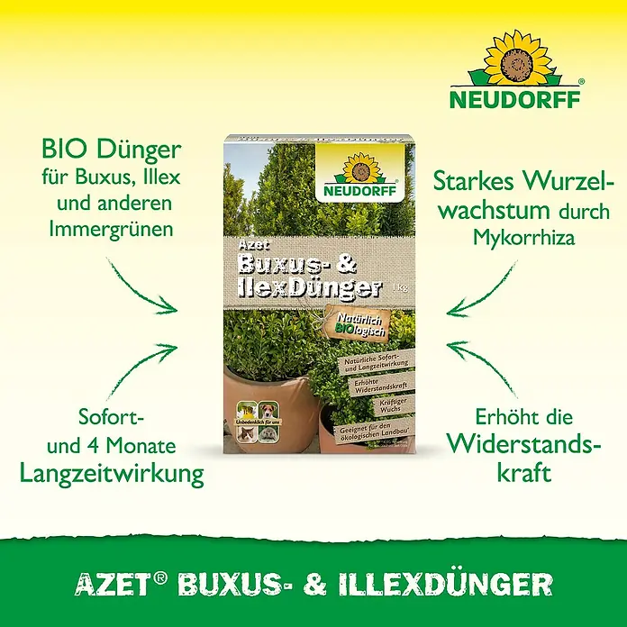 Neudorff Azet Buchsbaumdünger - 1 kg - Neudorff Azet Bio Buxus- & Illexdünger, 1kg Beutel für starkes Wachstum und erhöhte Widerstandskraft immergrüner Pflanzen.