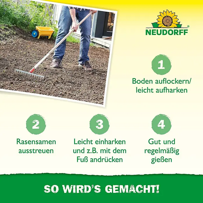 Neudorff Rasensamen Universal - 2 kg, 100 m² - Neudorff Anleitung zum Rasensaat: 4 Schritte, darunter Bodenharken und Bewässern.