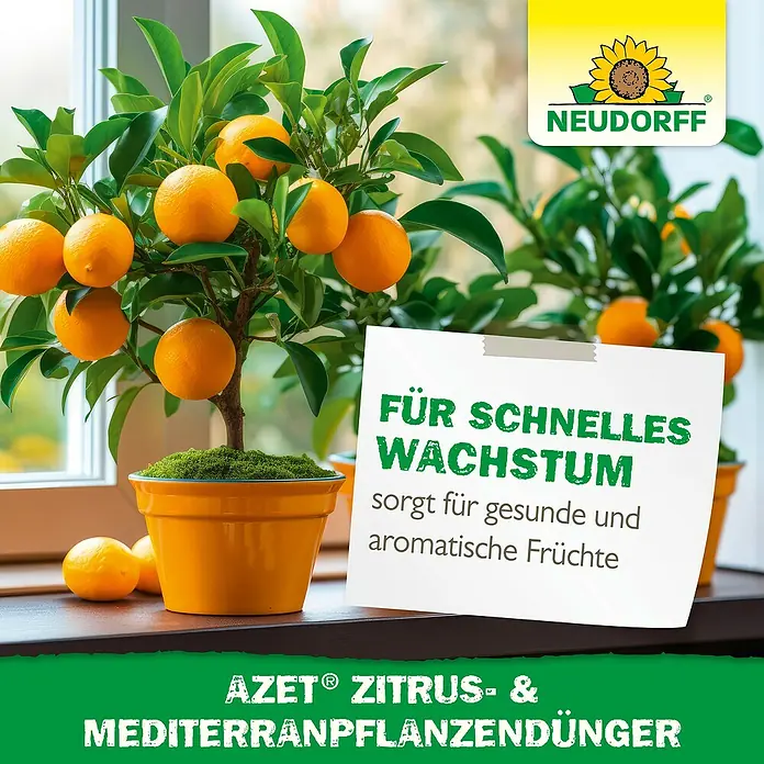 Neudorff Azet Mediterranpflanzen-Dünger - 750 g - Neudorff Azet Zitrus- & Mediterranpflanzendünger für schnelles Wachstum und gesunde, aromatische Früchte auf dem Bild.
