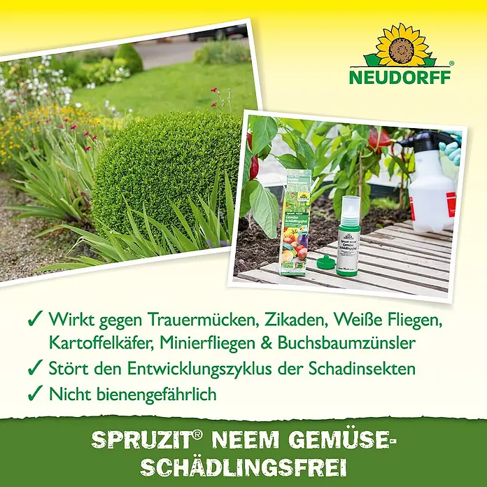 Neudorff Spruzit Schädlingsfrei Neem Gemüse - 30 ml - Neudorff Spruzit Schädlingsfrei Gemüse: Wirksamer Schutz gegen Schädlinge im Gemüsegarten, ohne Bienen zu gefährden.