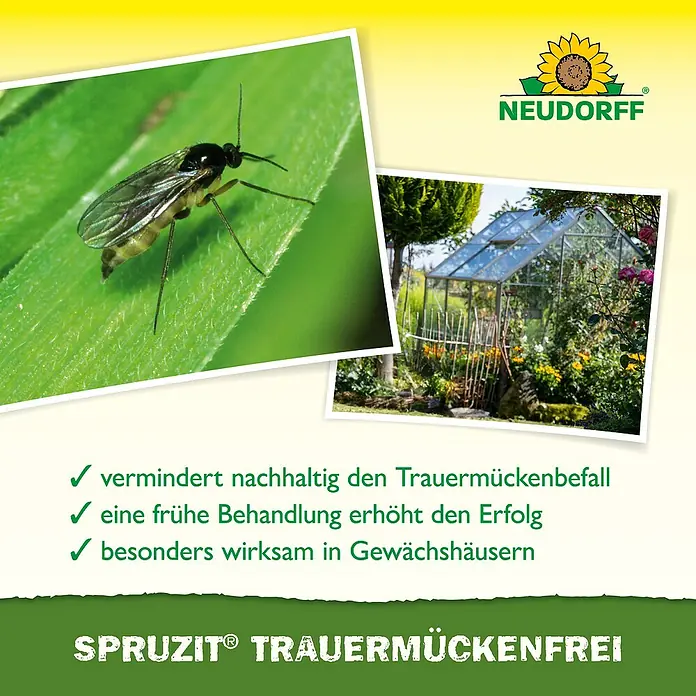 Neudorff Spruzit Schädlingsfrei Trauermücken - 30 ml - Neudorff Spruzit Trauermückenfrei: Das Produkt bekämpft Trauermücken nachhaltig, frühzeitig und besonders wirksam in Gewächshäusern.