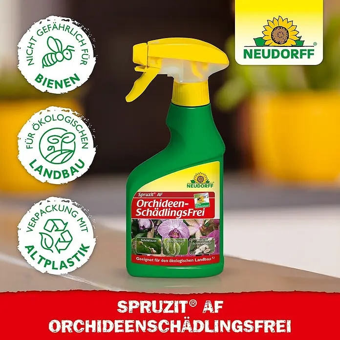 Neudorff Spruzit Schädlingsfrei AF - 250 ml, Geeignet für: Orchideen - Sprühflasche "Neudorff Spruzit AF Orchideen Schädlingsfrei" mit Hinweisen zur Bienensicherheit und ökologischem Landbau.