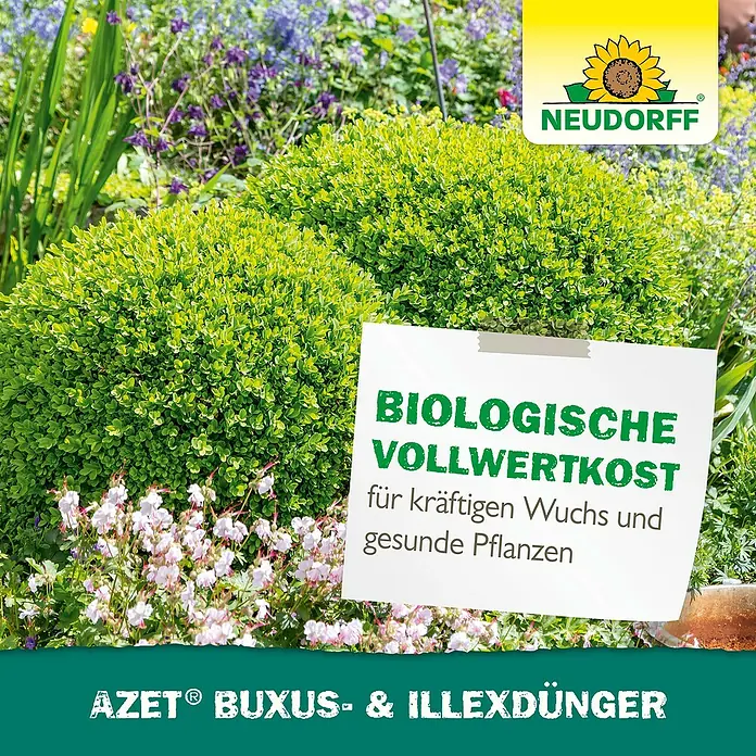 Neudorff Azet Buchsbaumdünger Buxus- & IlexDünger - 1 l - Produktaufnahme von Neudorff Azet Buxus- und Illexdünger für kräftiges Wachstum und gesunde Pflanzen. Biologische Vollwertkost im Garten.