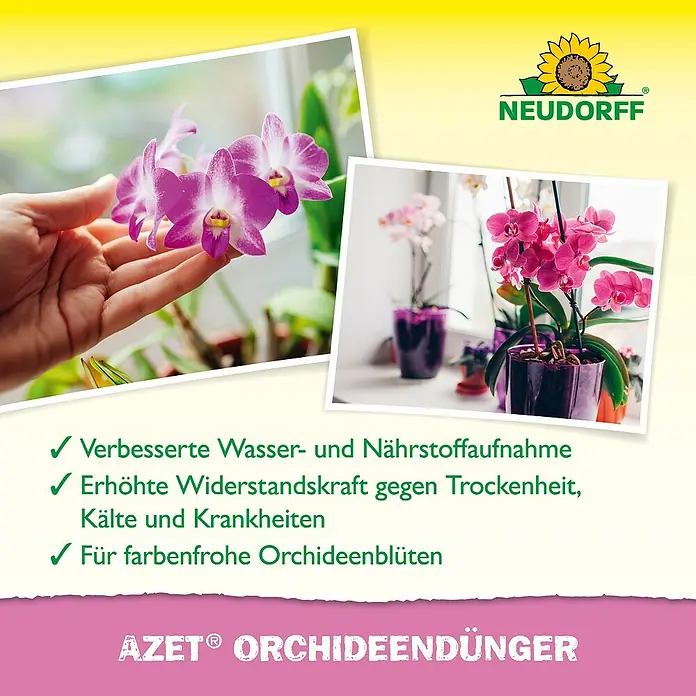 Neudorff Azet Orchideendünger - 325 kg, 250 ml - Orchideenfutter von Neudorff mit verbessertem Wasser- und Nährstoffaufnahme, erhöhter Widerstandskraft und farbenfrohen Blüten.