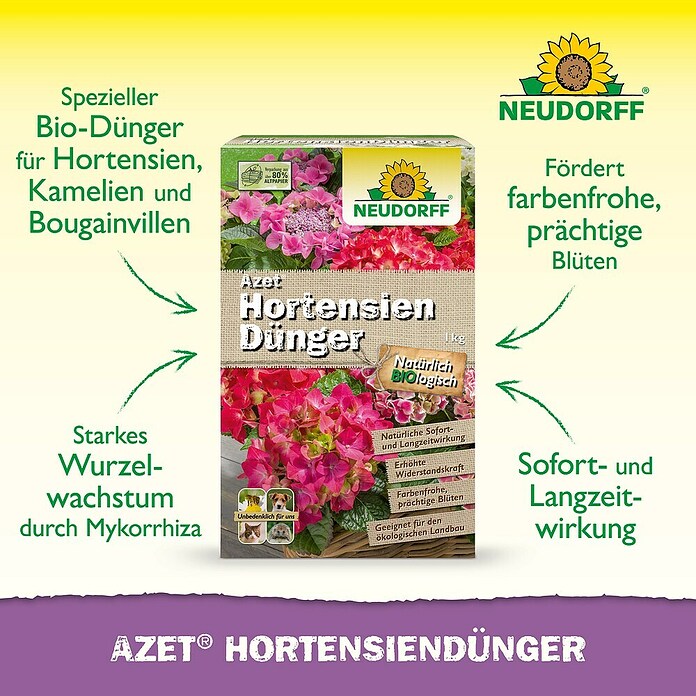 Neudorff Azet Hortensiendünger (1 kg) | BAUHAUS