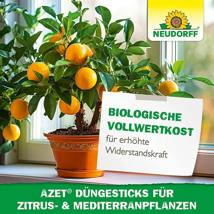 Neudorff Azet Grünpflanzen-Düngestäbchen Zitrus- und Mediterranpflanzen - 40 Stk. - AZET® DüngeSticks für Zitrus- und Mittelmeerpflanzen, beworben als biologische Vollwertkost für erhöhte Widerstandskraft, gezeigt mit einem Zitronenbaum.
