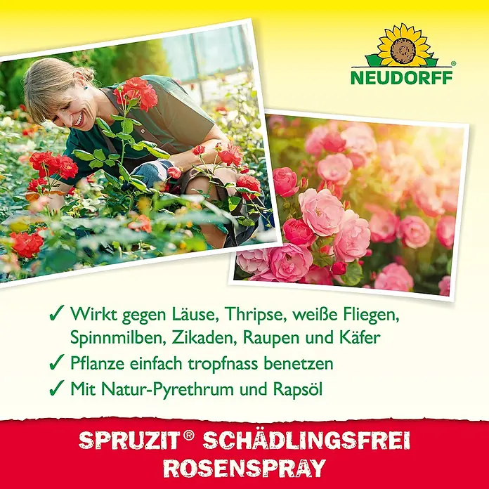 Neudorff Spruzit Schädlingsfrei RosenSpray AF - 750 ml - Neudorff Sprüzit Schädlingsfrei Rosenspray zur Bekämpfung von Schädlingen an Rosen mit Natur-Pyrethrum und Rapsöl.