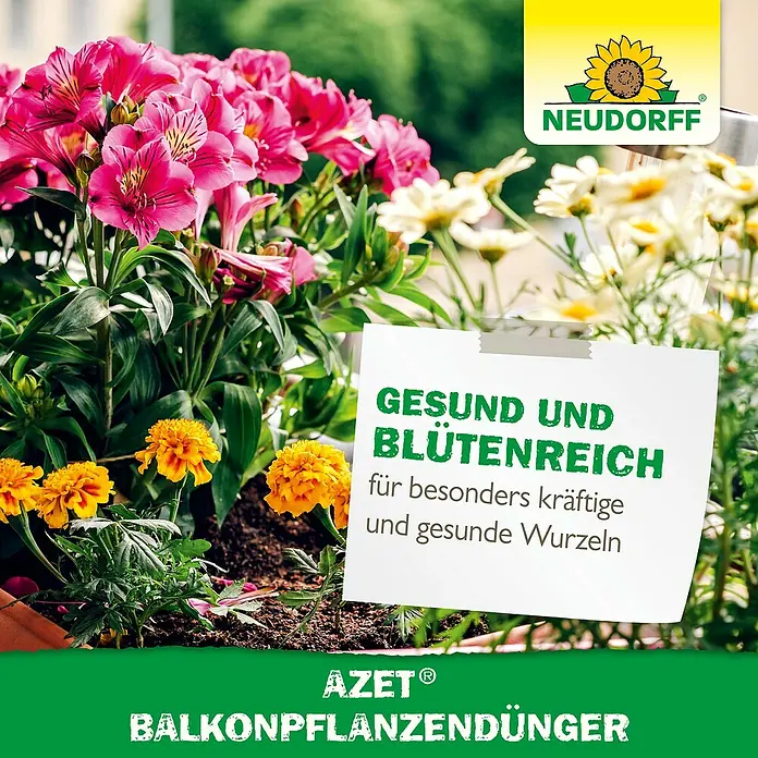 Neudorff Azet Balkonpflanzendünger - 750 g - Produktfoto von Neudorff Azet Balkonpflanzendünger für gesundes Wachstum und üppige Blüten auf dem Balkon.