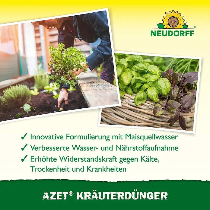 Neudorff Azet Kräuterdünger - 250 ml - Kräuterdünger von Neudorff: Innovative Formulierung für verbesserte Nährstoffaufnahme und erhöhte Widerstandskraft gegen Kälte, Trockenheit und Krankheiten.