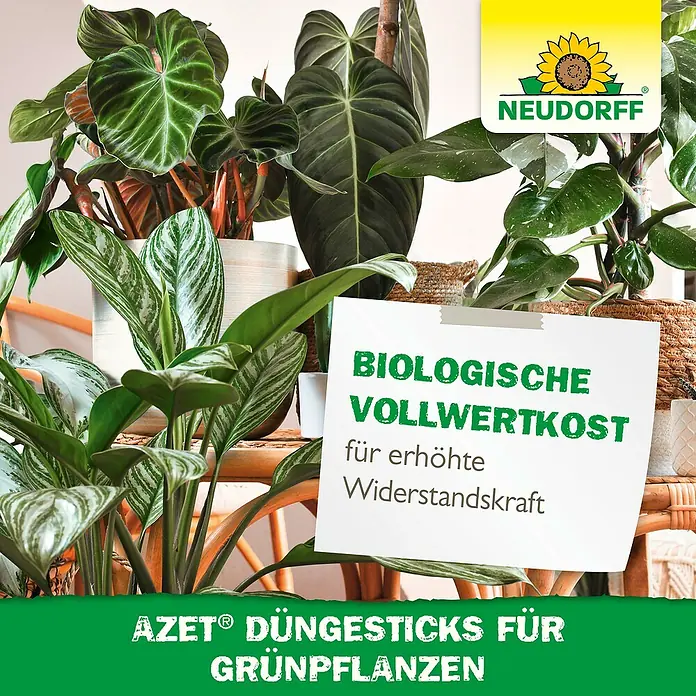 Neudorff Azet Grünpflanzen-Düngestäbchen - 40 Stk. - Zimmerpflanzen gedeihen mit Neudorff AZET Düngesticks für Grünpflanzen, die biologische Vollwertkost für erhöhte Widerstandskraft bieten.