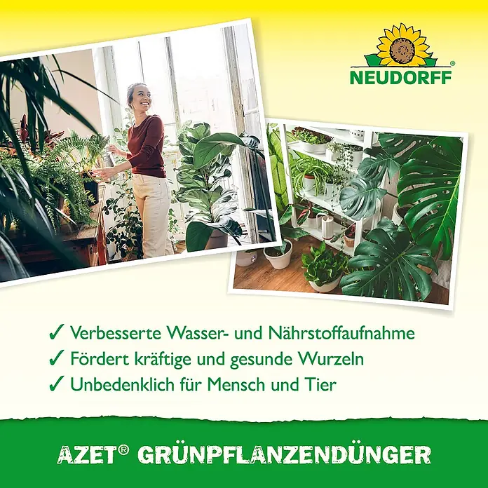 Neudorff Azet Grünpflanzendünger - 325 kg, 250 ml - Neudorff AZET® Grünpflanzendünger mit üppigen Zimmerpflanzen; fördert Wasser-/Nährstoffaufnahme und gesunde Wurzeln.