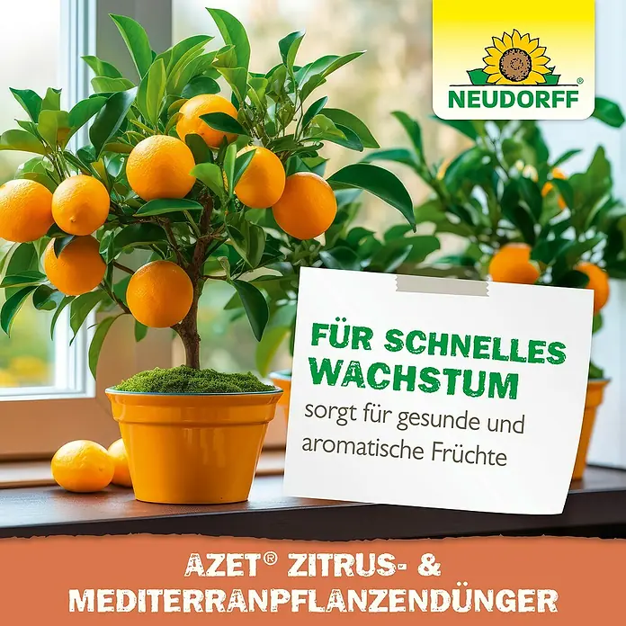 Neudorff Azet Zitrusdünger Zitrus- & Mediterranpflanzen - 1 l - Pflanzenernährung mit Neudorff AZET Zitrus- und Mediterranpflanzendünger für schnelles Wachstum und gesunde, aromatische Früchte.