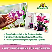 Neudorff Azet Düngestäbchen Orchideen (40 Stk.) | BAUHAUS