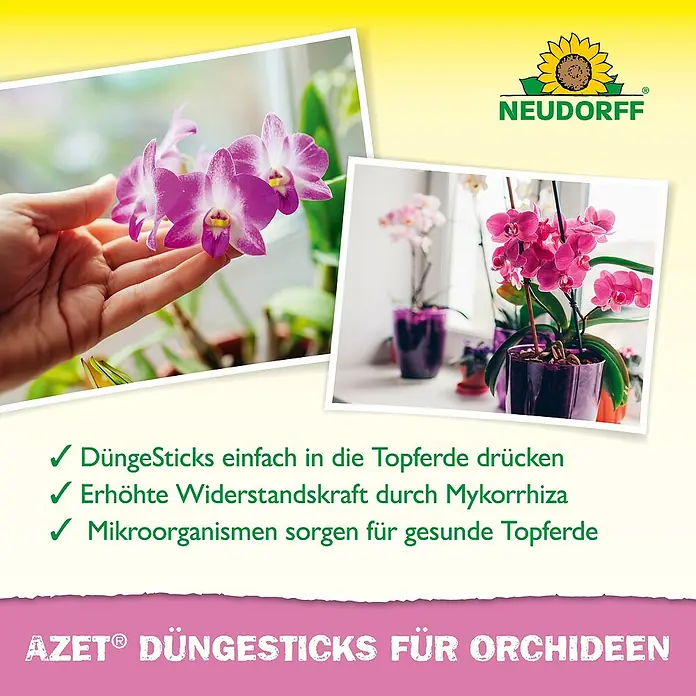 Neudorff Azet Düngestäbchen Orchideen - 40 Stk. - Produktbild der AZET® DüngeSticks für Orchideen von Neudorff, die für gesunde Topferde und erhöhte Widerstandskraft sorgen.