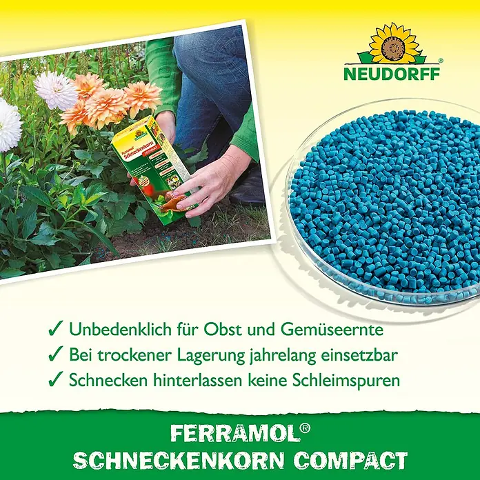 Neudorff Ferramol Schneckenkorn - 700 g - Anzeige für Ferramol Schneckenkorn Compact, ein Produkt zur Schneckenbekämpfung im Garten, dargestellt mit Anwendungsbeispielen und Produktvorteilen.