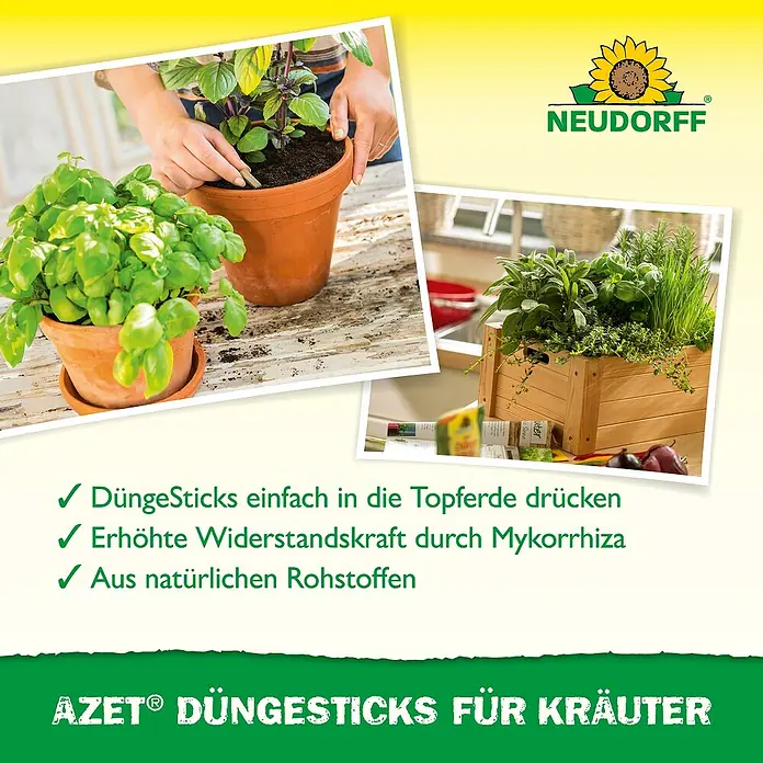 Neudorff Azet Düngestäbchen Kräuter - 40 Stk. - Eine Hand steckt einen beigen Düngestick in einen Basilikumtopf. Das Bild bewirbt AZET® Düngesticks für kräftige, gesunde Kräuter.