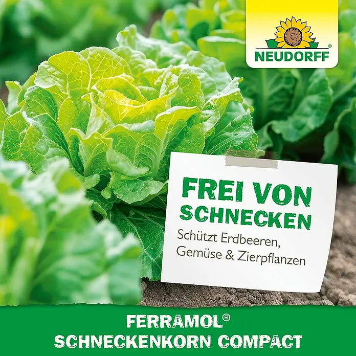 Neudorff Ferramol Schneckenkorn - 700 g - Produktbild von Neudorff Ferramol Schneckenkorn Compact, das Gemüse, Erdbeeren und Zierpflanzen vor Schnecken schützt.