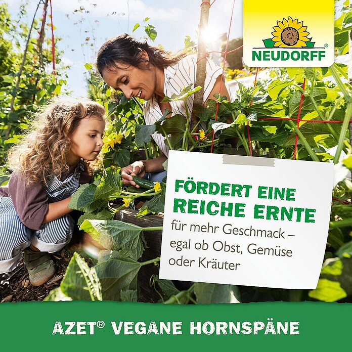 Neudorff Azet Bio-Hornspäne Vegan (2,5 kg) | BAUHAUS