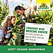 Neudorff Azet Bio-Hornspäne Vegan (2,5 kg) | BAUHAUS