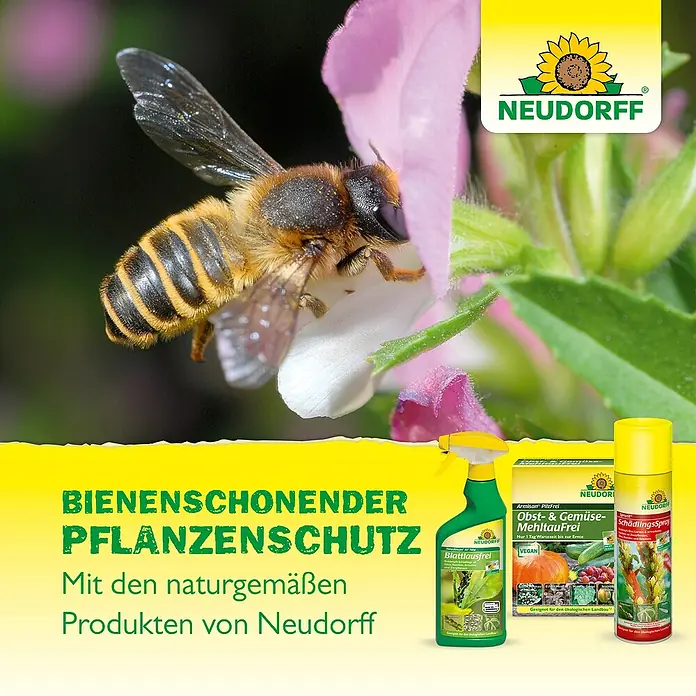 Neudorff Spruzit Schädlingsfrei - 250 ml, Anwendungsfertig - Bienenfreundlicher Pflanzenschutz von Neudorff mit natürlichen Produkten gegen Schädlinge, Blattläuse und Pilzbefall.