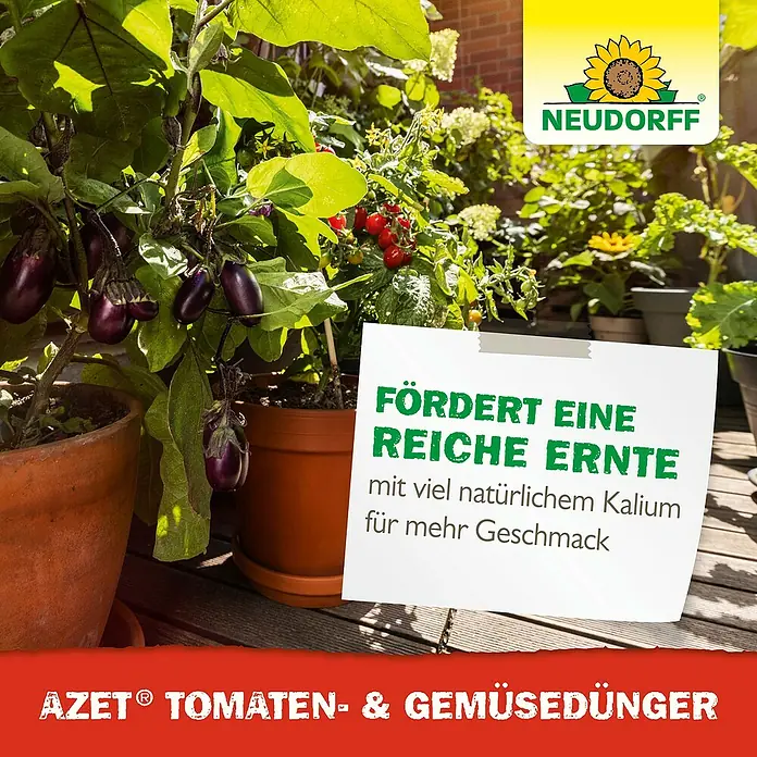 Neudorff Azet Tomatendünger - 1 l, Max. ausreichend für Flüssigkeitsmenge: 100 l - AZET Tomaten- & Gemüsedünger von Neudorff für eine reiche Ernte mit viel natürlichem Kalium für mehr Geschmack in Ihrem Gemüse.