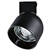 Paulmann ULine LED-Spotstrahler Ronde (7 W, Ø x H: 8,5 x 11 cm, Schwarz, Warmweiß) | BAUHAUS