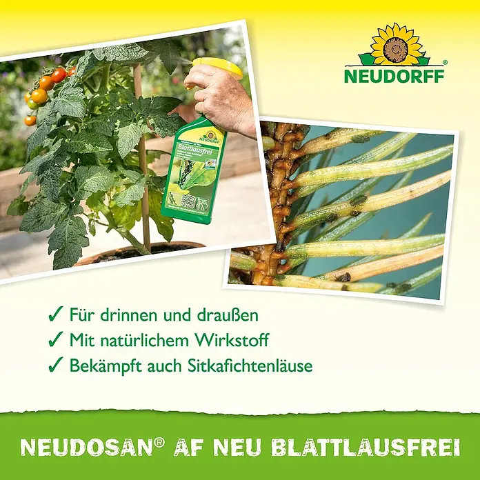 Neudorff Neudosan Blattlausfrei - 500 ml - Abbildung des Neudorff Neudosan AF Neu Blattlausfrei, ein Produkt zur Bekämpfung von Blattläusen auf Pflanzen.
