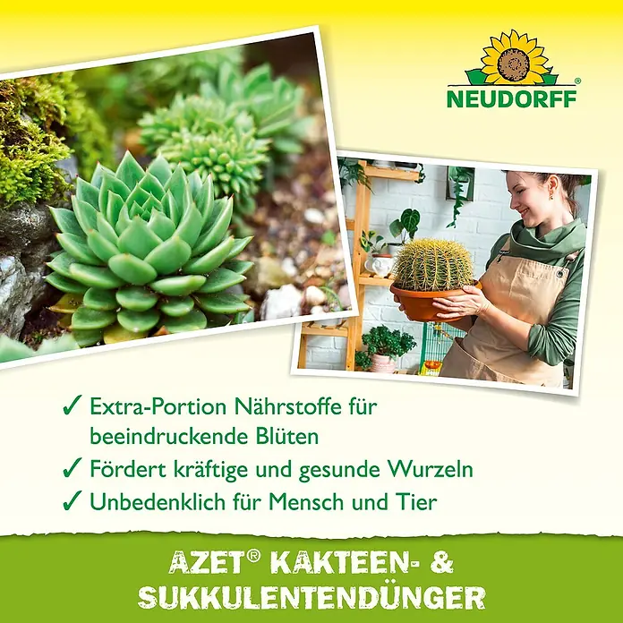Neudorff Azet Kakteendünger - 250 ml - Neudorff AZET Kakteen- & Sukkulentendünger. Zeigt gesunde Pflanzen und eine Person beim Pflegen, bewirbt Nährstoffe für Blüten und Wurzeln.