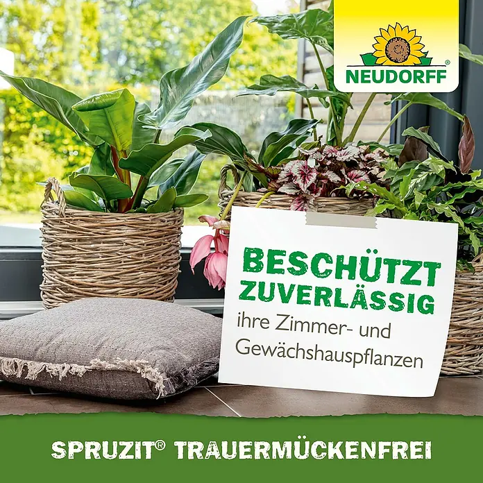 Neudorff Spruzit Schädlingsfrei Trauermücken - 30 ml - Zimmerpflanzen geschützt mit SPRUZIT Trauermückenfrei von Neudorff.