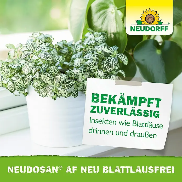 Neudorff Neudosan Blattlausfrei - 500 ml - Das Bild zeigt NEUDOSAN® AF NEU BLATTLAUSFREI mit dem Versprechen zuverlässiger Insektenbekämpfung, drinnen wie draußen.