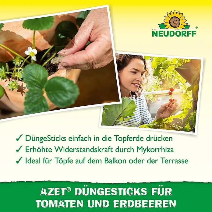 Neudorff Azet Grünpflanzen-Düngestäbchen Tomaten und Erdbeeren - 40 Stk. - Produktbild von Neudorff Azet Düngestäbchen für Tomaten und Erdbeeren, die in Töpfen auf dem Balkon oder der Terrasse verwendet werden können.