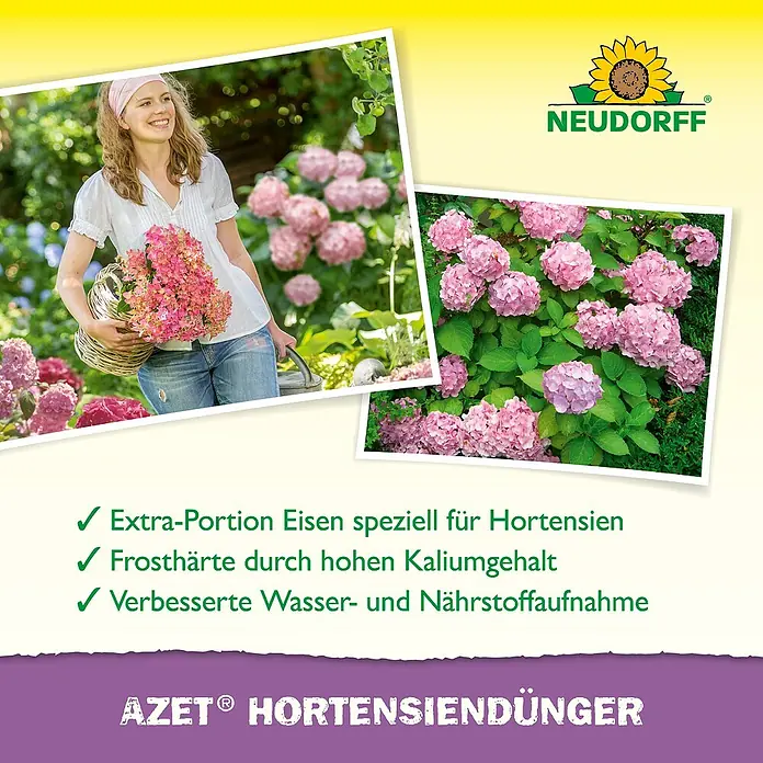 Neudorff Azet Hortensiendünger - 1 l - AZET® Hortensiendünger: Für gesunde Hortensien mit Extra-Portion Eisen, Frosthärte durch Kalium und verbesserter Nährstoffaufnahme.