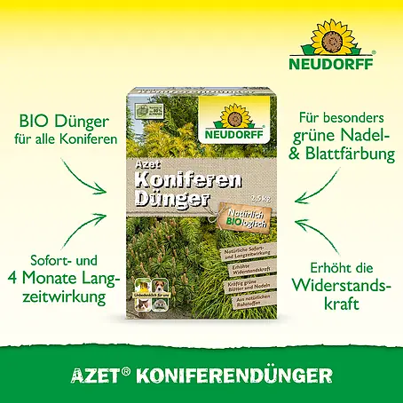 zimmerpflanze affenbrotbaum Glückskastanie Pachira Aquatica Zimmerpflanze Geldbaum – 40–50cm – Pfl main image 1