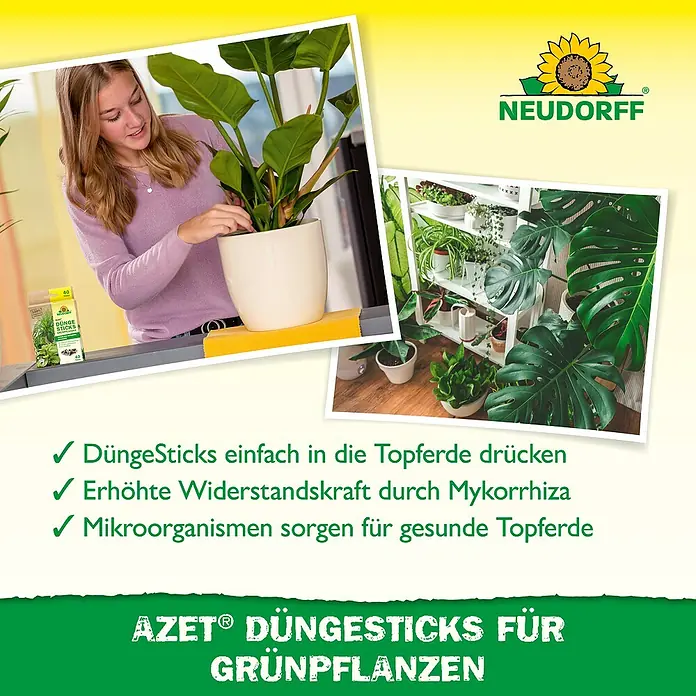 Neudorff Azet Grünpflanzen-Düngestäbchen - 40 Stk. - Zimmerpflanzen gedeihen mit Neudorff Azet DüngeSticks. Einfach in die Erde stecken für gesunde Pflanzen, dank Mykorrhiza und Mikroorganismen.