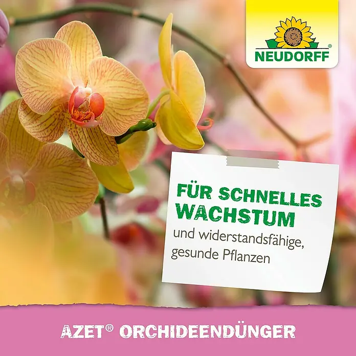Neudorff Azet Orchideendünger - 325 kg, 250 ml - AZEt Orchideendünger für schnelles Wachstum und widerstandsfähige, gesunde Pflanzen.
