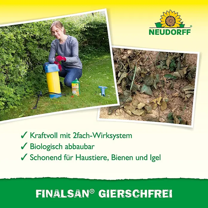 Neudorff Finalsan Gierschfrei - 1 l - Bild einer Neudorff Finalsann Gierschfrei-Produktwerbung, die eine Frau bei der Gartenarbeit und die Wirkung des Produkts zeigt.
