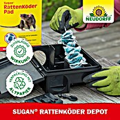 SUGAN RATTENKÖDERBOXLEER                NEUDORFF