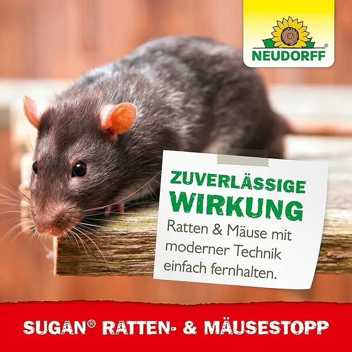 Neudorff Sugan Ratten- & Mäusebekämpfung - Max. Anwendungsfläche: 30 m² - Eine Ratte neben einem Schild, das Neudorff Sugan Ratten- & Mäusestopp bewirbt.