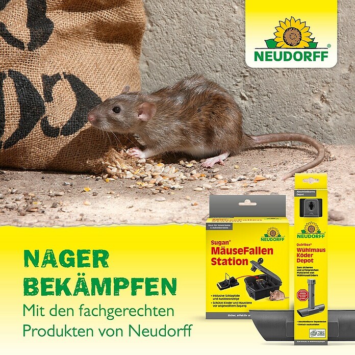 Neudorff Schädlings-Stopp (Wohnraum, Geeignet für: Marder) | BAUHAUS